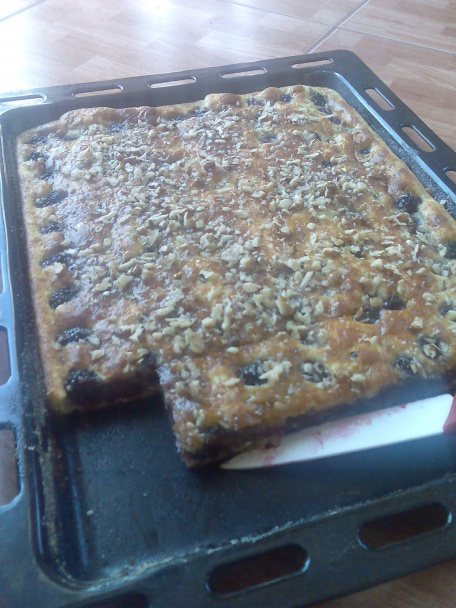 Tvarožník bez múky so slivkami a orechami (bezlepku) - aj s jablkami, marhuľami, černicami... - obrázok 5