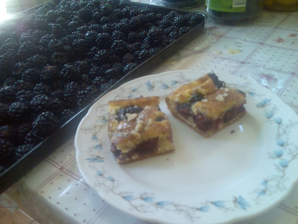 Tvarožník bez múky so slivkami a orechami (bezlepku) - aj s jablkami, marhuľami, černicami... - obrázok 6