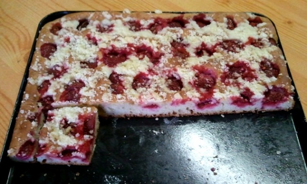 Jahodový osúch - obrázok 2