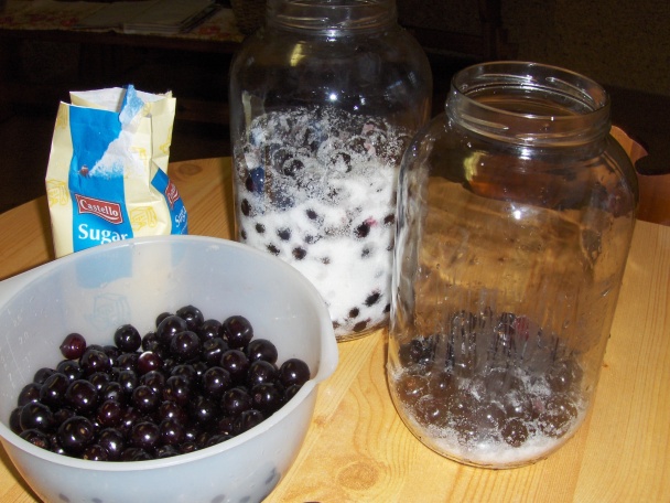 Višňovica - druhá časť - obrázok 1