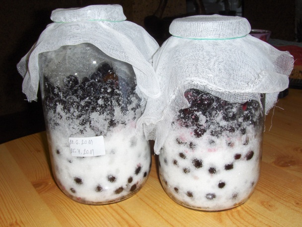 Višňovica - druhá časť - obrázok 2