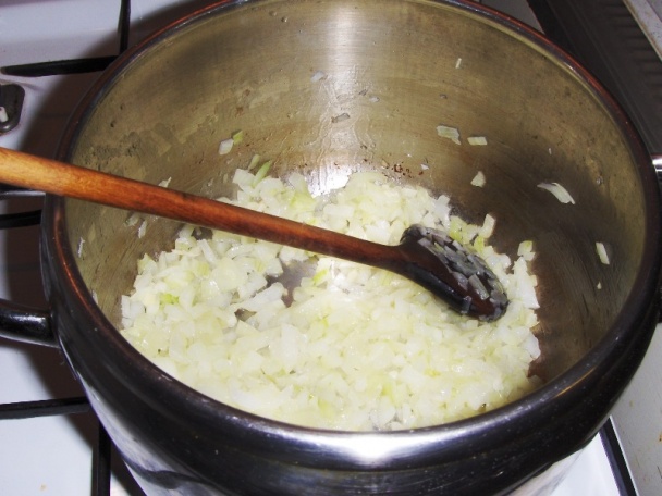 Segedín (fotorecept) - obrázok 2