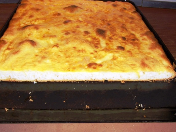 Slaný osúch (fotorecept) - obrázok 3