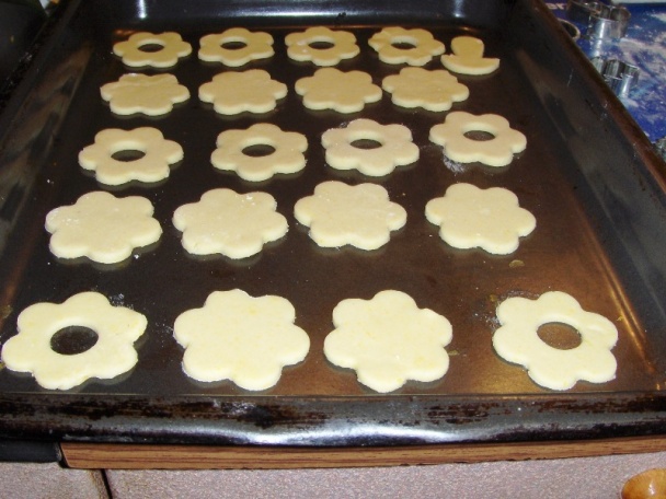 Linecké cesto (fotorecept) - obrázok 4