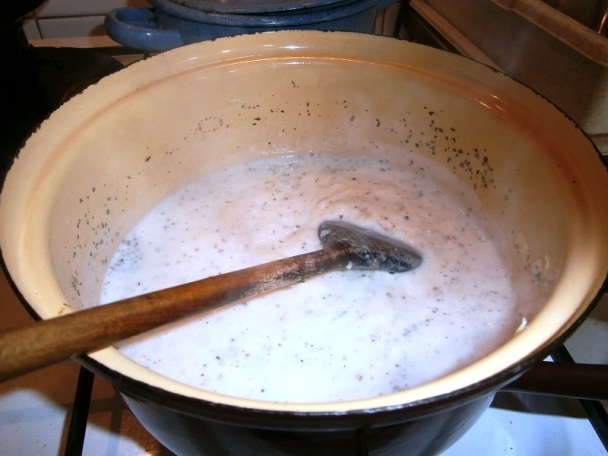 Špenát - (fotorecept) - obrázok 2