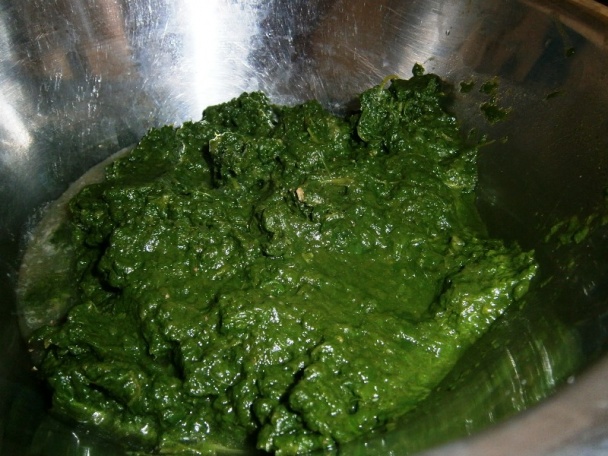 Špenát - (fotorecept) - obrázok 3