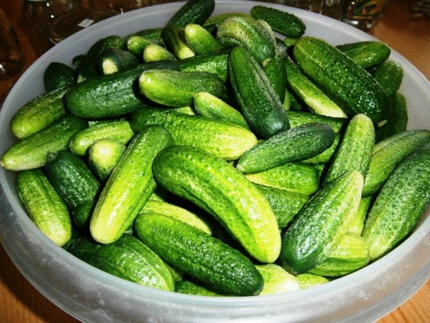 Znojemské uhorky  (fotorecept) - obrázok 1