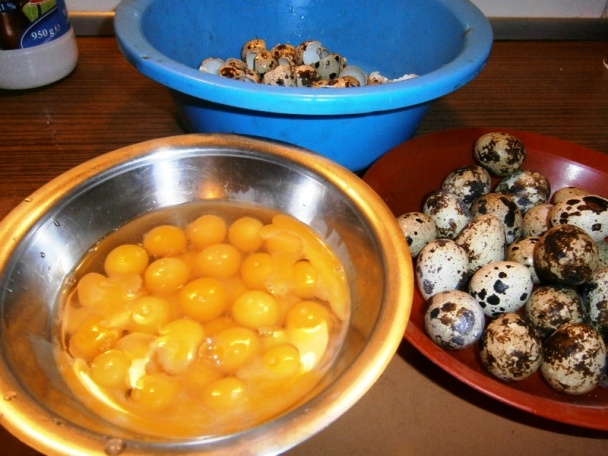 Lečo s klobásou  (fotorecept) - obrázok 5