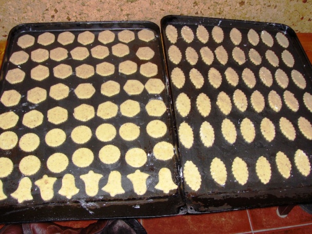 Linecké cesto (fotorecept) - obrázok 11