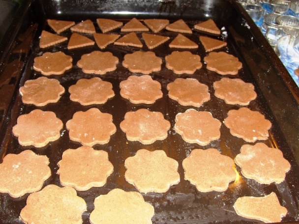 Linecké cesto (fotorecept) - obrázok 12