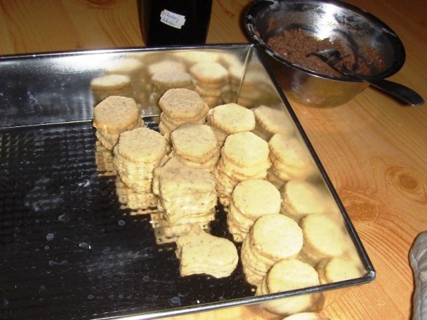 Linecké cesto (fotorecept) - obrázok 13