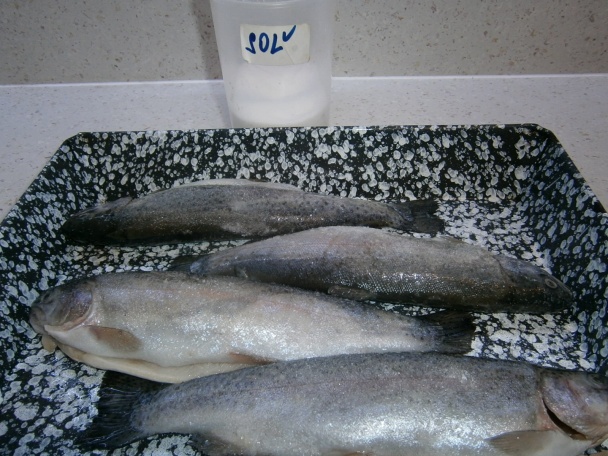 Pečený pstruh na masle (fotorecept) - obrázok 2