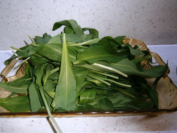 Zapečená mrkva s medvedím cesnakom (fotorecept) - obrázok 2