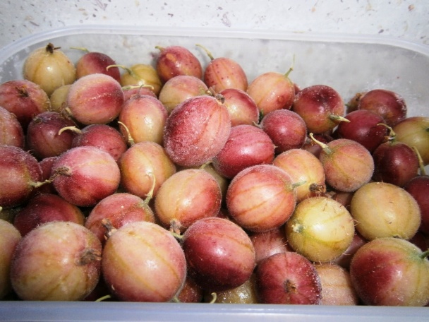 Pestrý koláč, bublanina (fotorecept) - obrázok 4