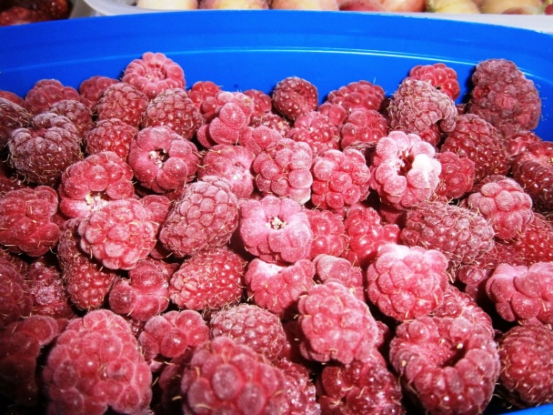 Pestrý koláč, bublanina (fotorecept) - obrázok 5