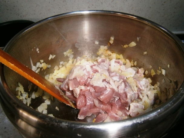 Jašterice (fotorecept) - obrázok 3