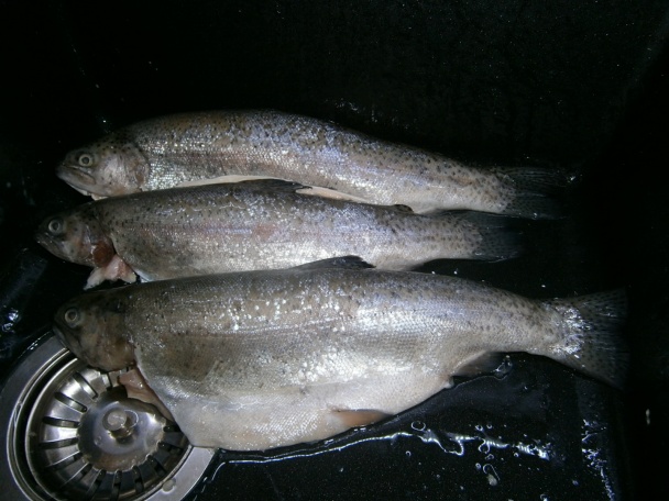 Prvé  tohoročné  grilovanie (fotorecept) - obrázok 2