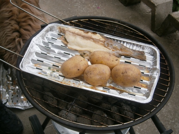 Prvé  tohoročné  grilovanie (fotorecept) - obrázok 5