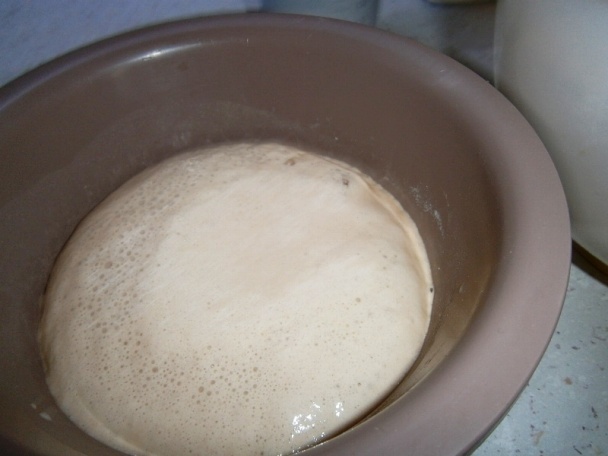 Cibuľový koláč (fotorecept) - obrázok 1