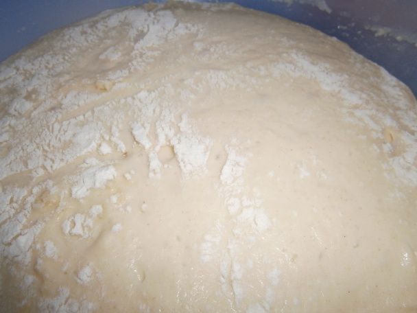 Slaný - kysnutý koláč s kôprom (fotorecept) - obrázok 1