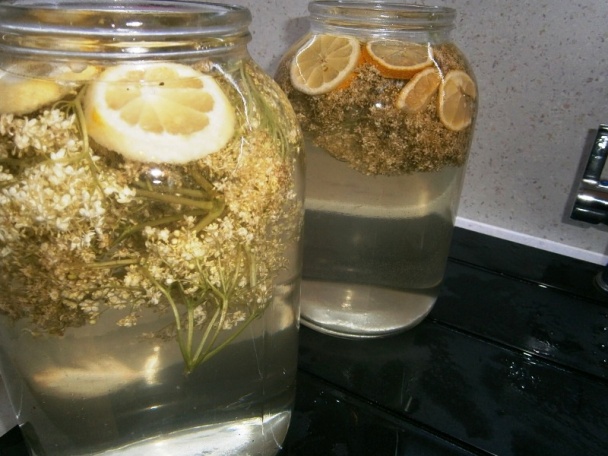 Bublinkový nápoj z bazy (fotorecept) - obrázok 4