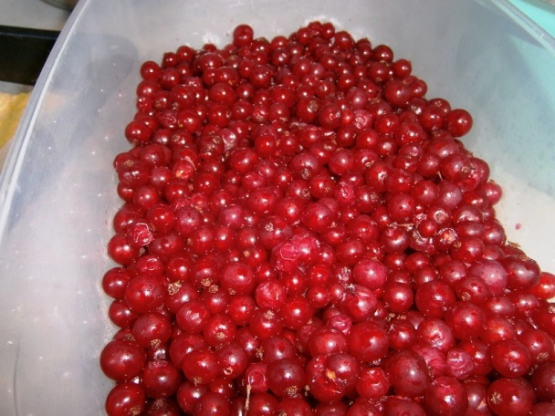 Ríbezľový koláč so snehom (fotorecept) - obrázok 7