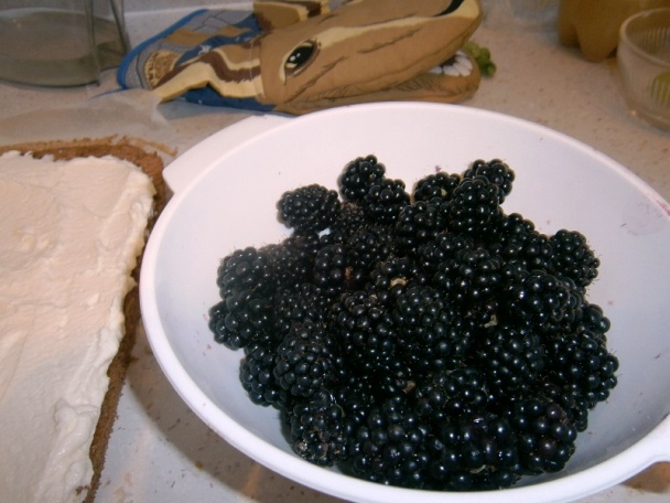 Roláda s tvarohovo-šľahačkovou plnkou (fotorecept) - obrázok 10