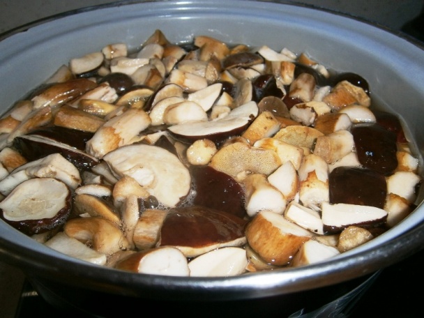 Zavárané suchohríby (fotorecept) - obrázok 2