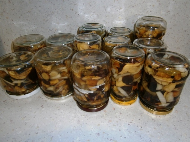 Zavárané suchohríby (fotorecept) - obrázok 4