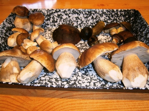 Sušené dubáky na zimu (fotorecept) - obrázok 3