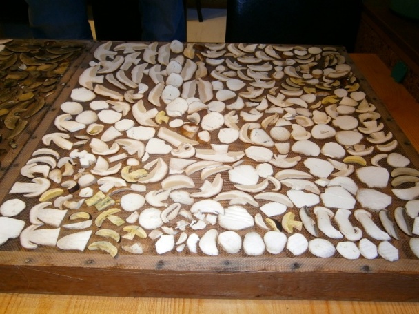 Sušené dubáky na zimu (fotorecept) - obrázok 4