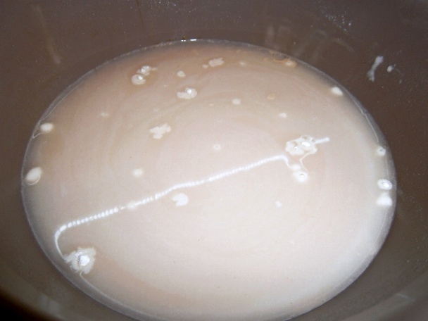 Bratislavské orechové rožky (fotorecept) - obrázok 5