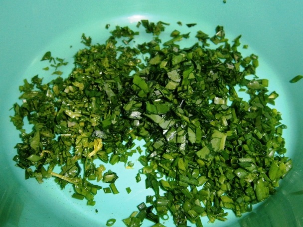 Karbonátky z ryby (fotorecept) - obrázok 4