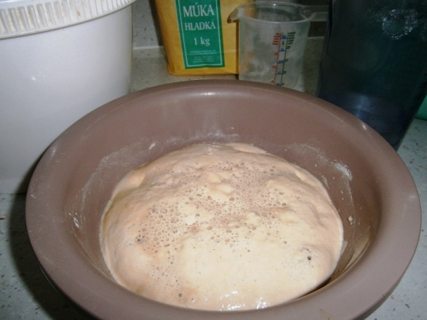 Žemle podľa @Pusta (fotorecept) - obrázok 1