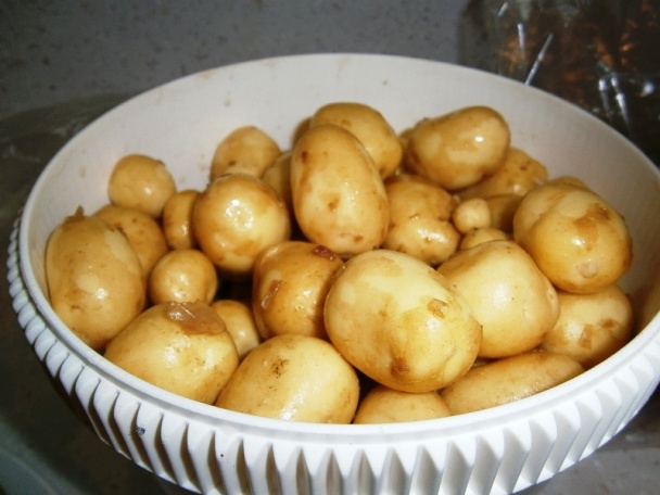 Vysmážaný kaleráb s novými zemiakmi a šalátom (fotorecept) - obrázok 1