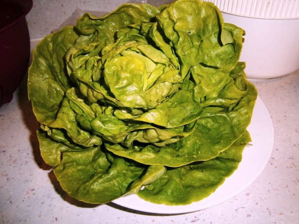 Vysmážaný kaleráb s novými zemiakmi a šalátom (fotorecept) - obrázok 2