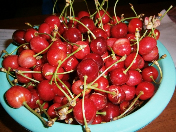 Vysmážaný kaleráb s novými zemiakmi a šalátom (fotorecept) - obrázok 9