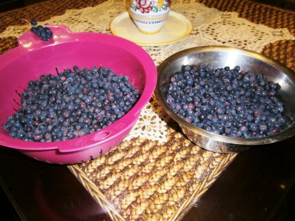 Čučoriedkový lekvár (fotorecept) - obrázok 1