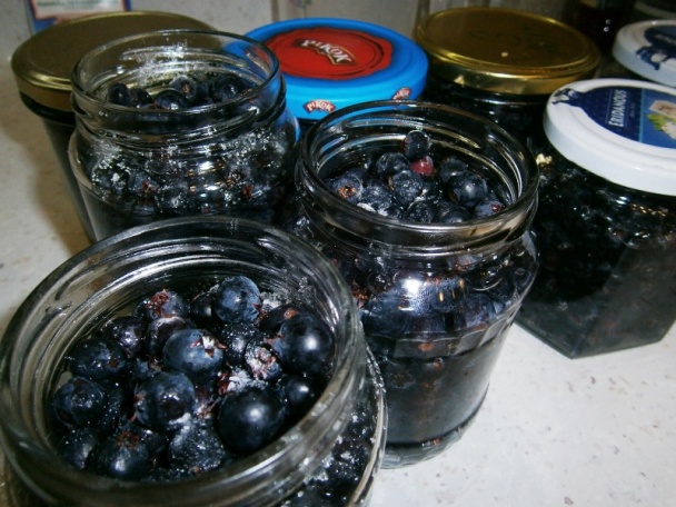 Čučoriedkový kompót (fotorecept) - obrázok 3