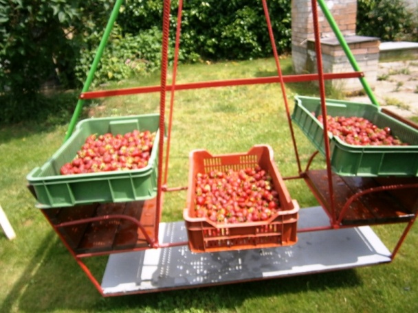 Jahodový sirup varený (fotorecept) - obrázok 1