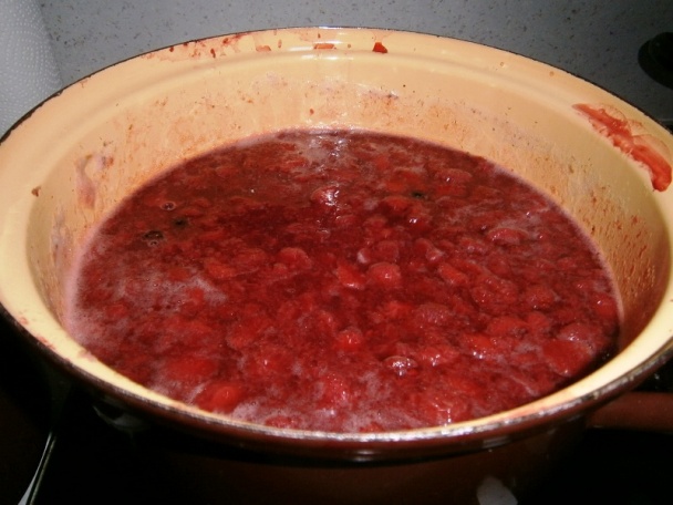 Jahodový sirup varený (fotorecept) - obrázok 2