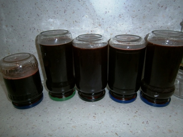 Jahodový sirup varený (fotorecept) - obrázok 6