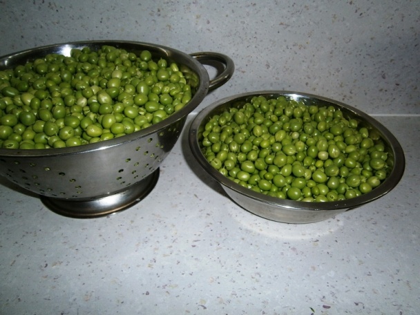 Mrazený hrášok (fotorecept) - obrázok 2