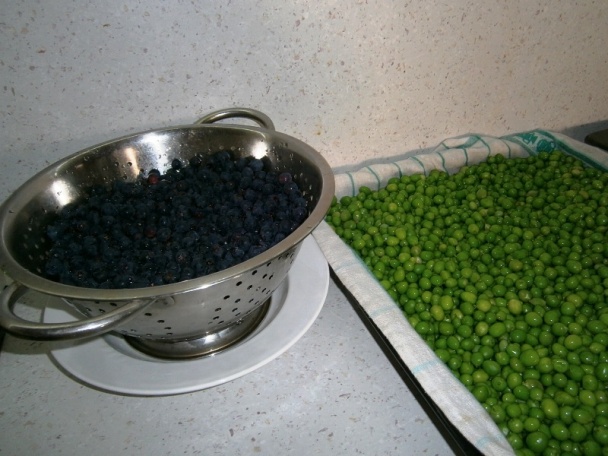 Mrazený hrášok (fotorecept) - obrázok 5