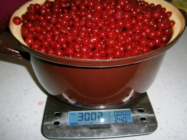 Ríbezľový rôsol (fotorecept) - obrázok 2