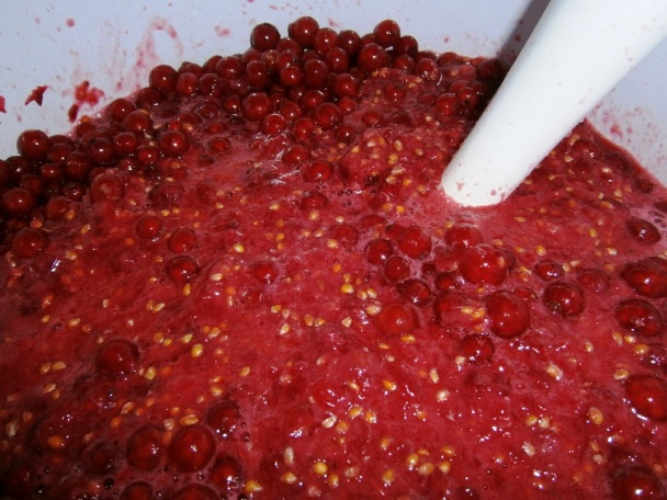 Ríbezľový rôsol (fotorecept) - obrázok 3