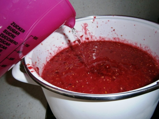 Ríbezľový rôsol (fotorecept) - obrázok 4