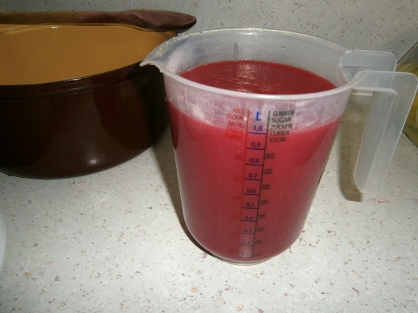 Ríbezľový rôsol (fotorecept) - obrázok 8