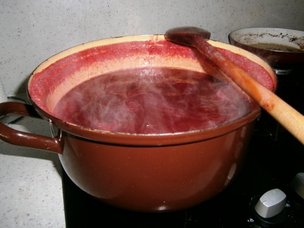 Ríbezľový rôsol (fotorecept) - obrázok 10