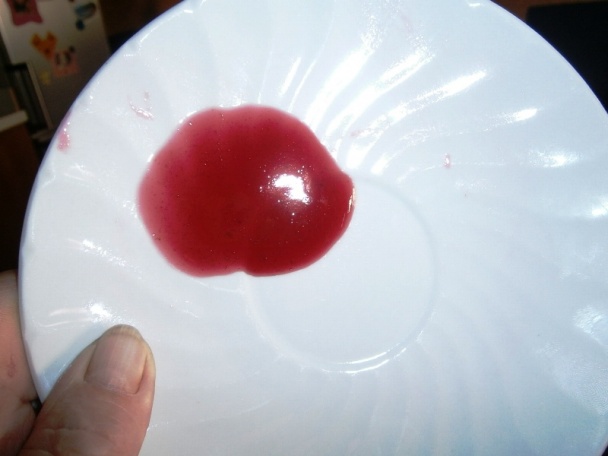 Ríbezľový rôsol (fotorecept) - obrázok 11